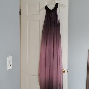 Beautiful Ombre Sparkly Dress